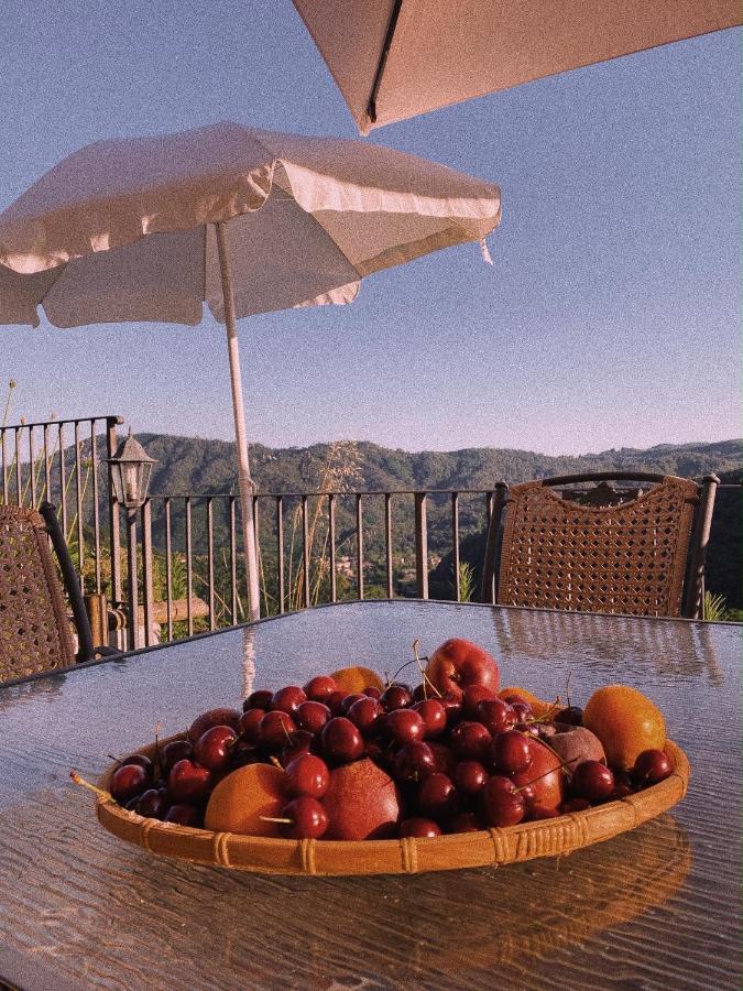 La Pianella Farmhouse لوكا المظهر الخارجي الصورة