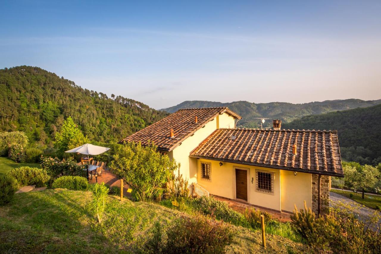 La Pianella Farmhouse لوكا المظهر الخارجي الصورة